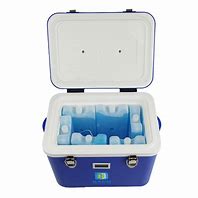 Blood Storage Cooler