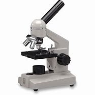Compound Microscope