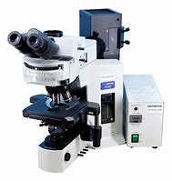 Fluorescence Microscope