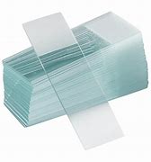 Glass Slides
