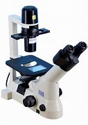 Phase Contrast Microscope