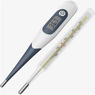 Lab Thermometer