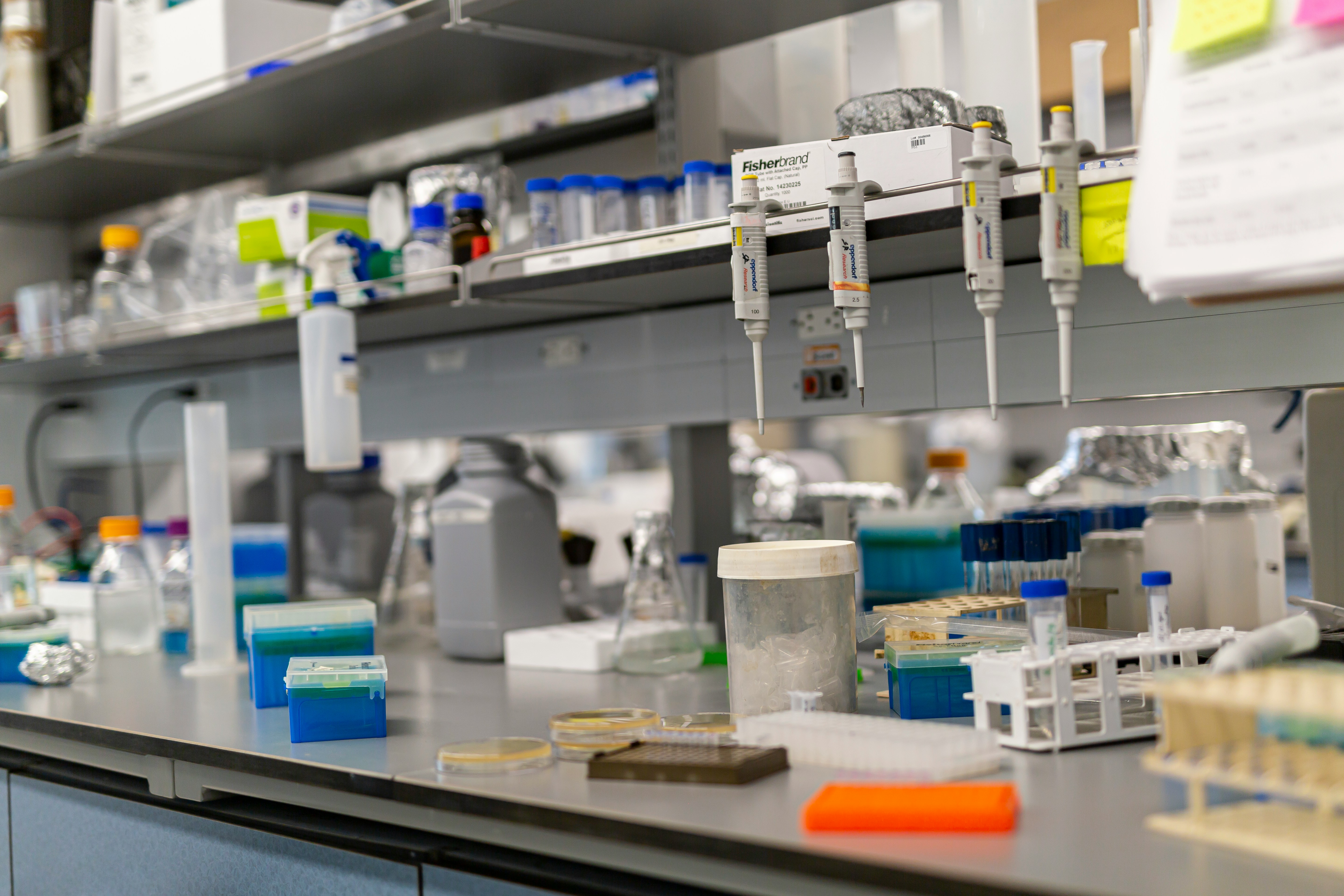 Laboratory Instruments Supplier Patna Bihar